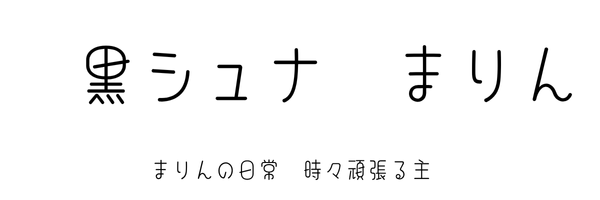 黒シュナ　まりん