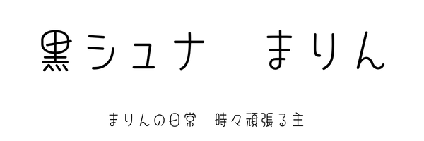 黒シュナ　まりん
